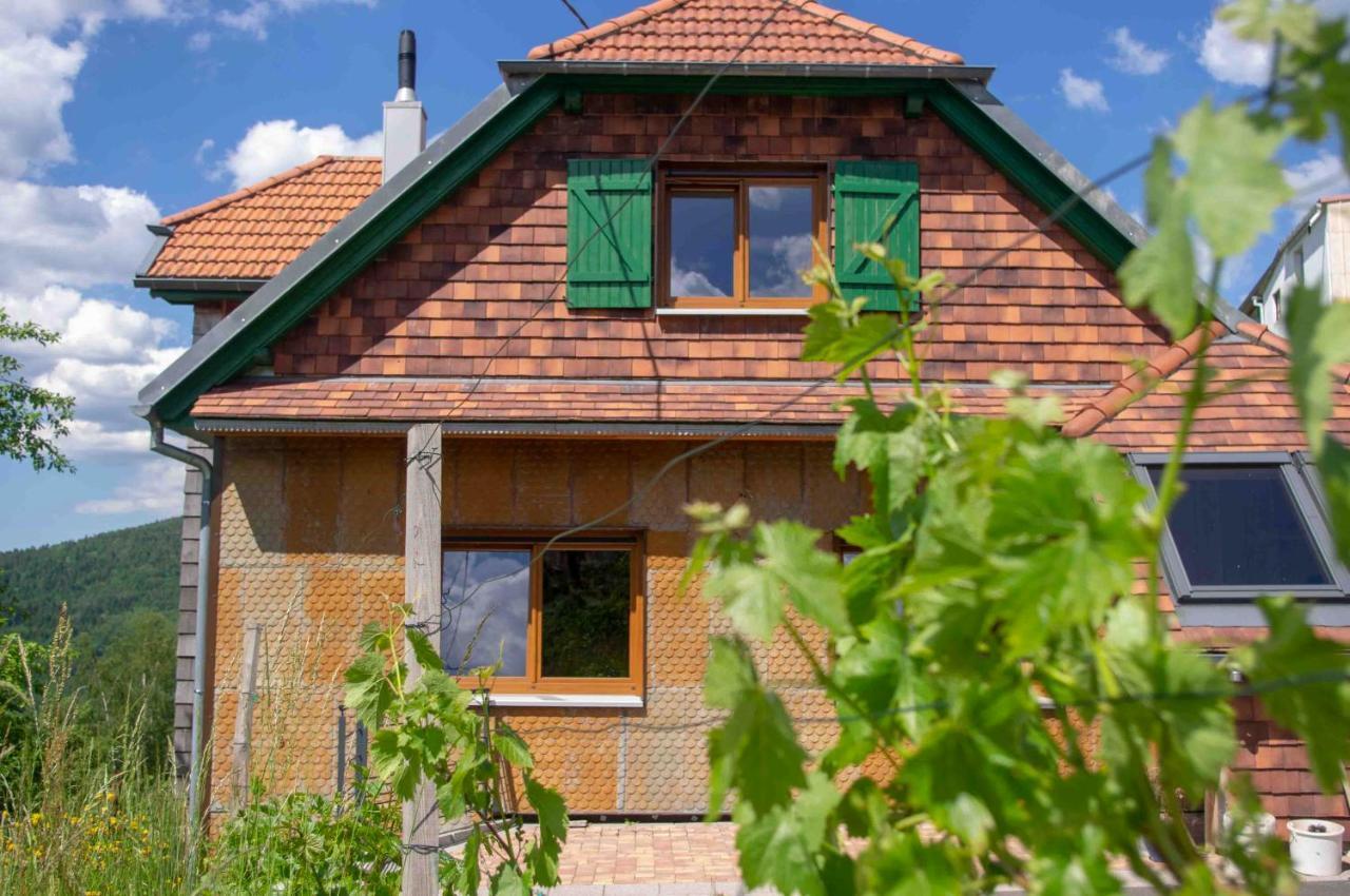 Le Gite Du Wildbach Wildersbach Luaran gambar